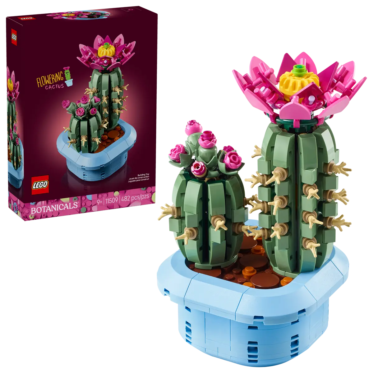 LEGO Botanicals Flowering Cactus (11509) building set showing two green cacti with pink flowers displayed in a pastel blue plant pot next to the product box.