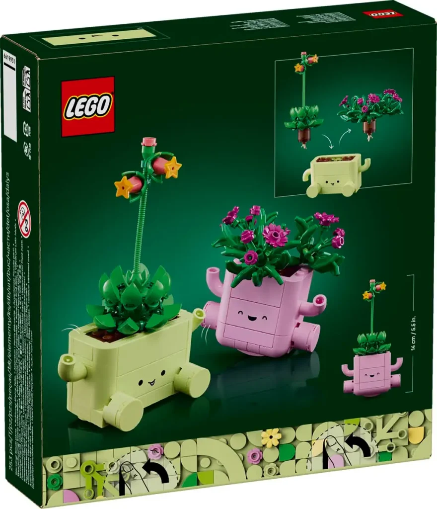 LEGO Botanicals Rocking Plants 11506 back of box showing features