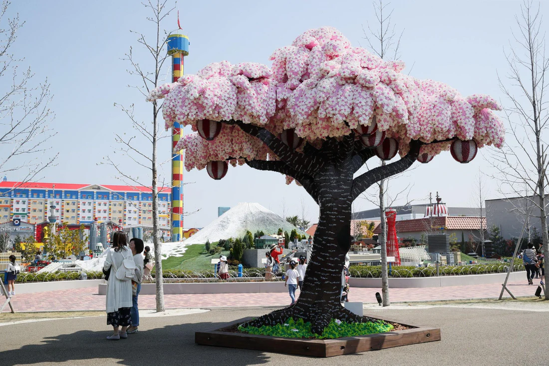 World’s largest LEGO cherry blossom tree on display at LEGOLAND Japan, built with pink and white blossoms, lantern details, and a dark brick trunk.
