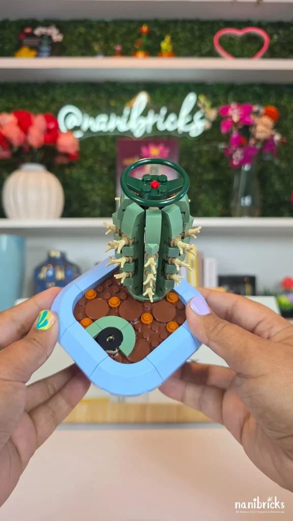 Hands placing the LEGO Botanicals Flowering Cactus into the pastel blue pot, showing the secure fit and interior structure.