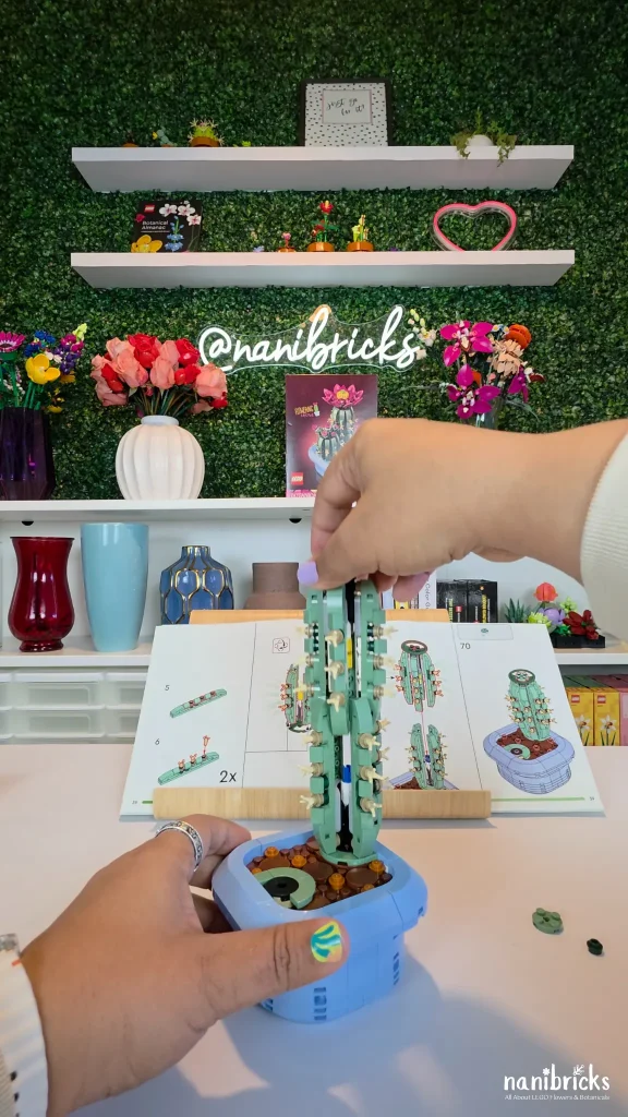 Hands assembling the LEGO Botanicals Flowering Cactus showing the two cactus halves interlocking securely into the pastel blue pot.
