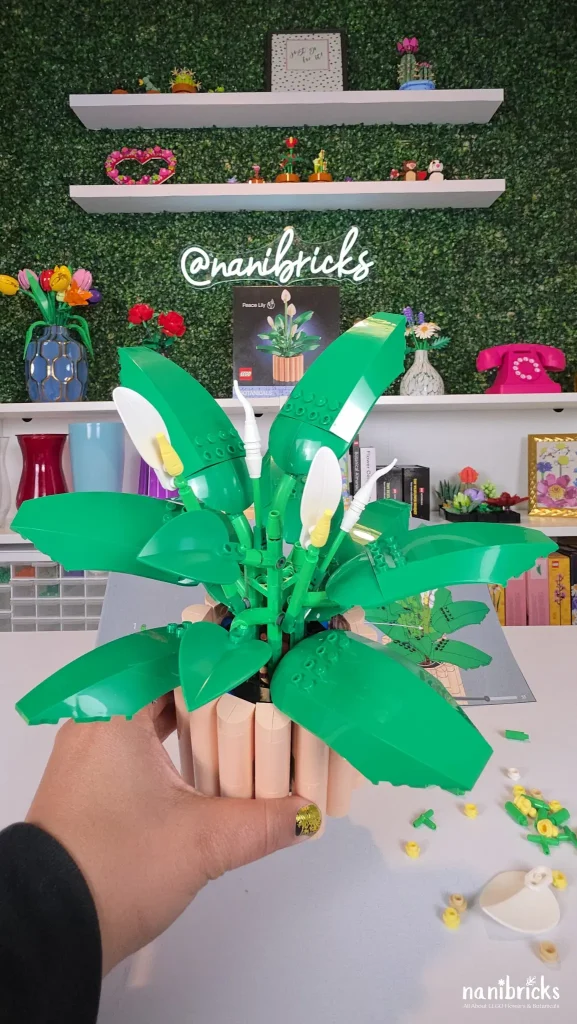 LEGO Botanicals Peace Lily fully assembled during Bag 4, with leaves and white blooms arranged inside the peach-colored pot.