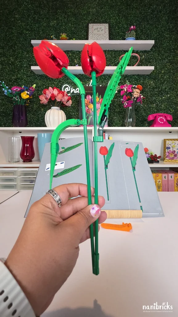 LEGO Botanicals Tulip Bouquet (11501) Bag 1 showing two red tulips with different stem bends and leaf shapes for comparison