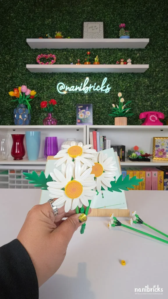 Three large white daisies with printed yellow centers from LEGO Botanicals Daisies (11508) held in hand during build
